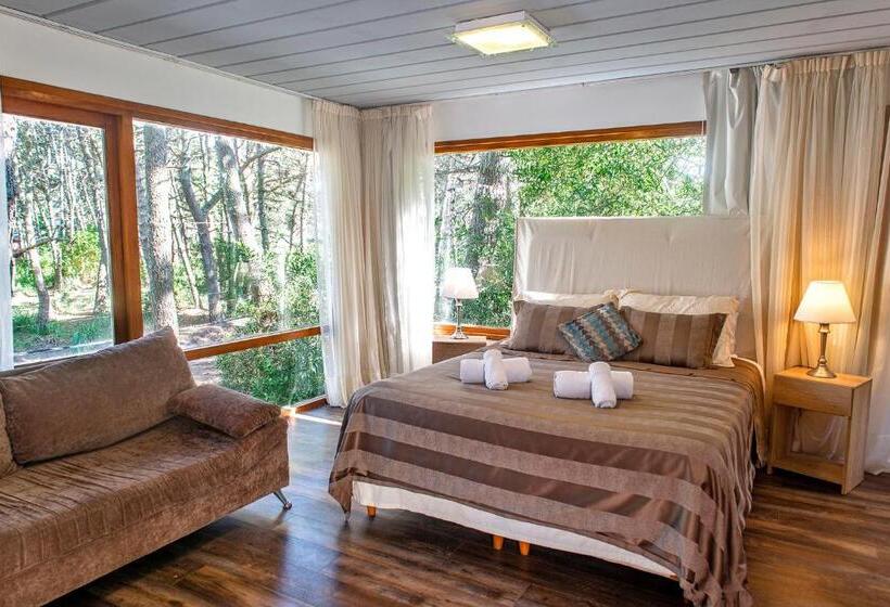 스탠다드 룸, Terrazas Del Bosque Aparts