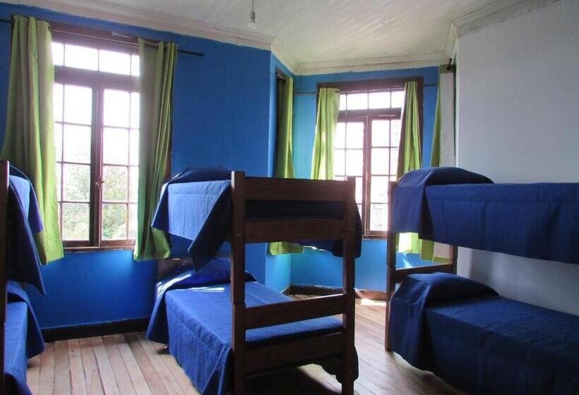ファミリールーム, Viña City Hostel Ii