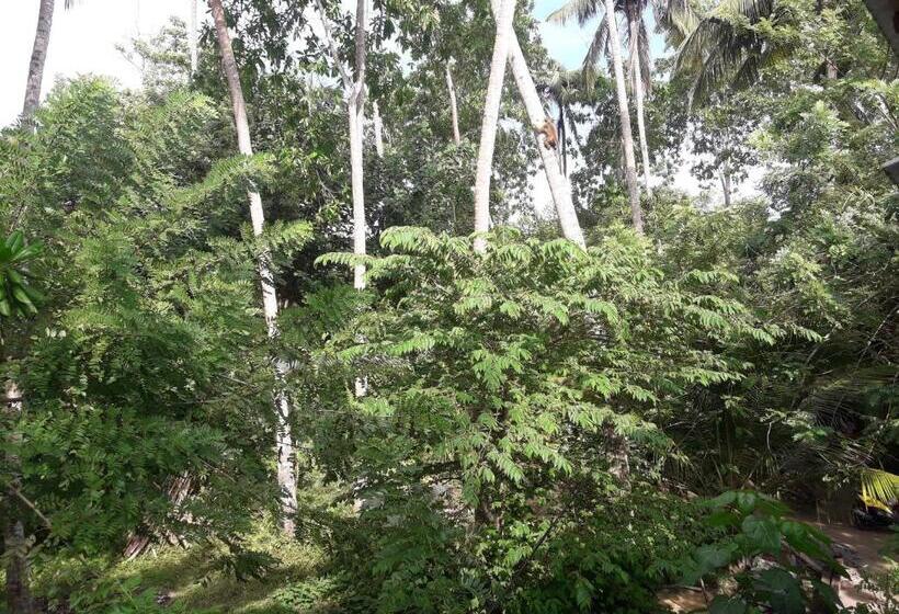 스탠다드 룸 가든 전망, Pigeon House Kabalana