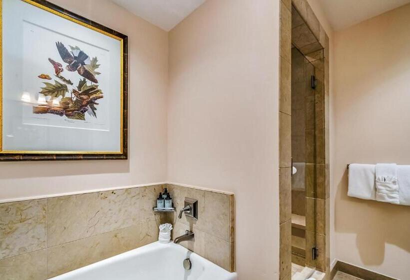 Апартаменты 1 Спальня с Балконом, Private Residence At Leading Luxury Resort In Vail