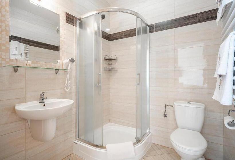 标准间带湖景, łabędź Hotel Karczma