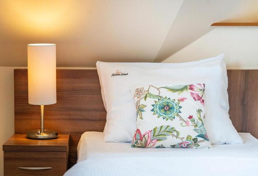 标准间带湖景, łabędź Hotel Karczma