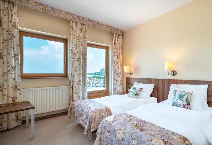 标准间带湖景, łabędź Hotel Karczma