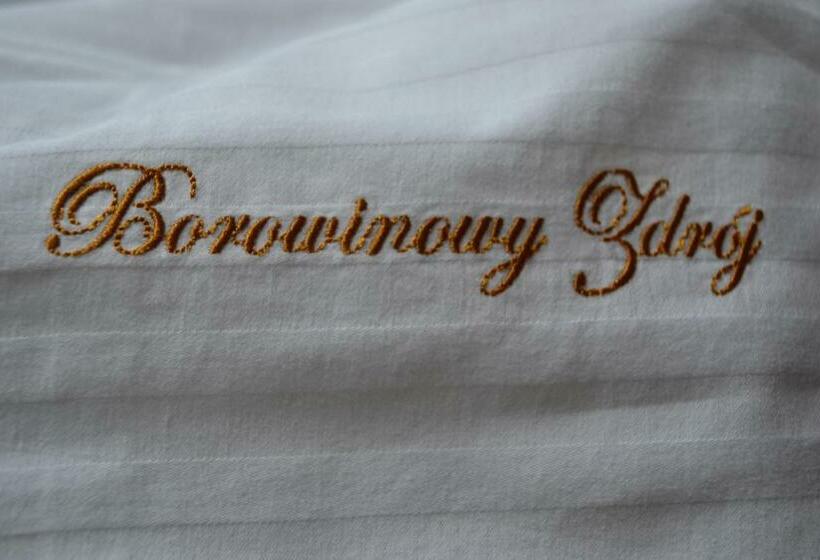 标准单人间, Borowinowy Zdrój Hotel Wellness Spa & Conference