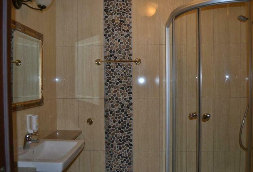 舒适型房间, Borowinowy Zdrój Hotel Wellness Spa & Conference