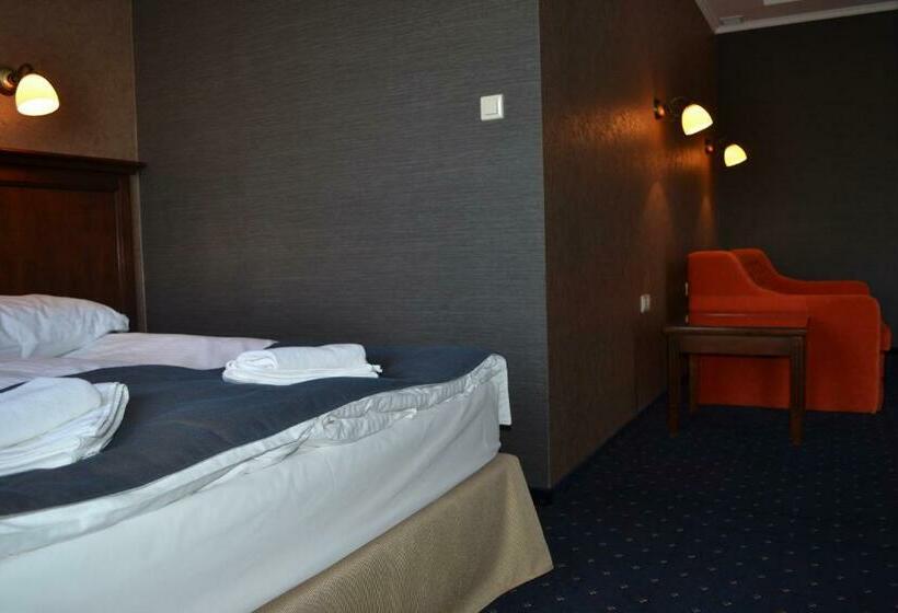 舒适型房间, Borowinowy Zdrój Hotel Wellness Spa & Conference