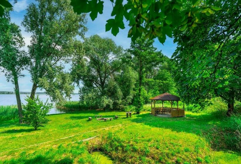 Номер Стандарт, łabędź Hotel Karczma