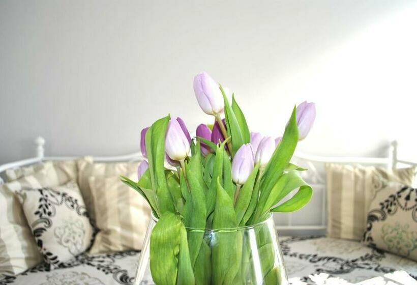 חדר סטנדרט, Amber Suite   Adults Only