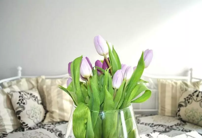 Standard-huone, Amber Suite Adults Only