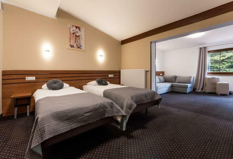 Номер Стандарт Трехместный, Beskidzki Raj Medical Spa