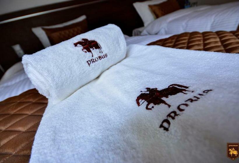 标准单人间, Ctkir Browar Probus