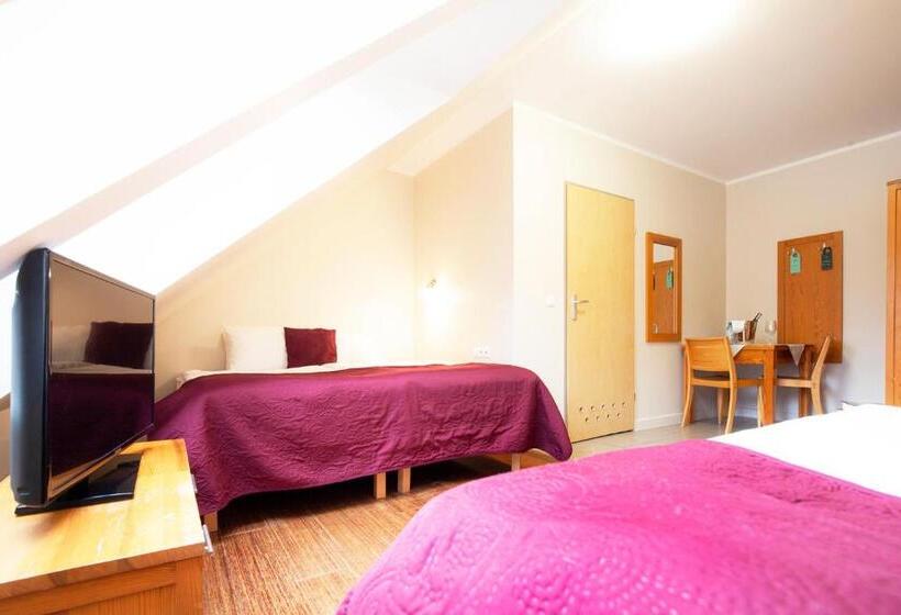 트리플 클래식 룸, Holimo