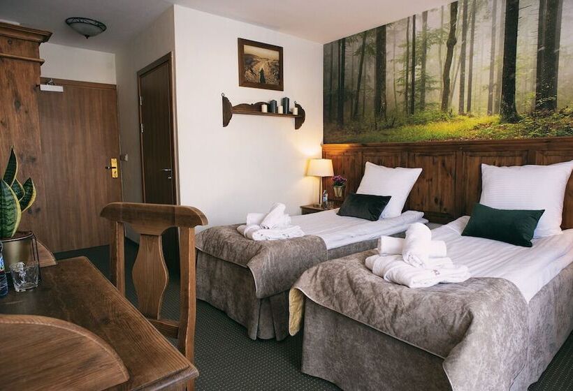 스탠다드 룸, Kotarz Spa&wellness