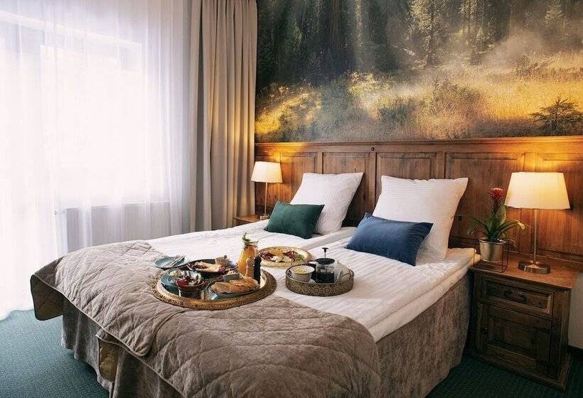 스탠다드 룸, Kotarz Spa&wellness