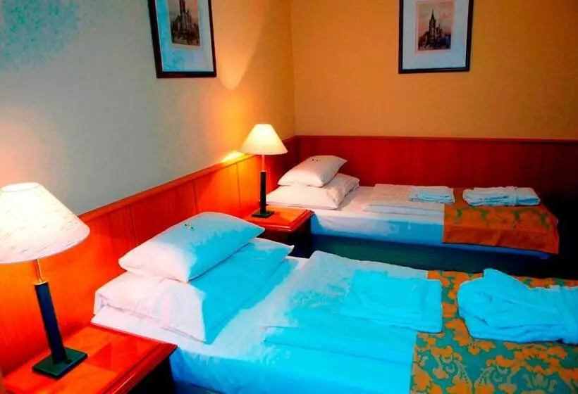 スタンダードルーム, Nyerges Hotel Termál Superior