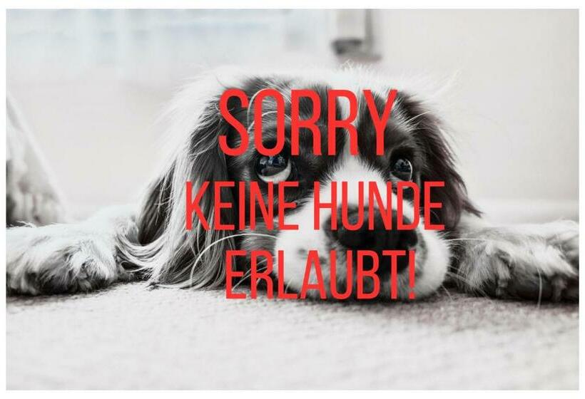 اتاق استاندارد با چشم‌انداز دریاچه, Pension Melcher