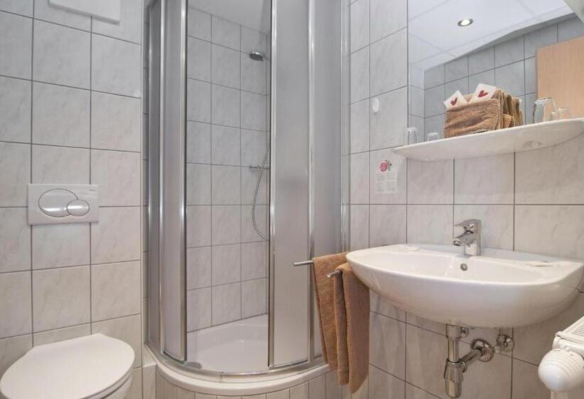 اتاق استاندارد با چشم‌انداز دریاچه, Pension Melcher