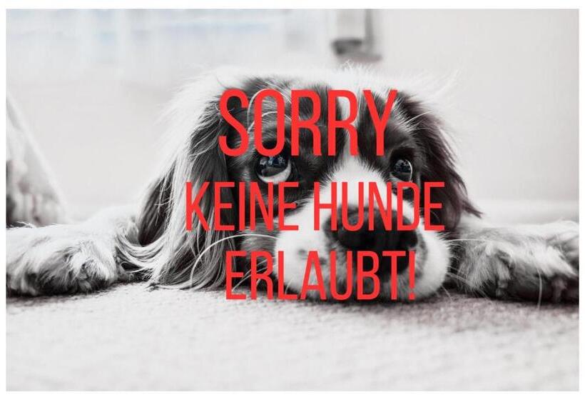 آپارتمان 2 خوابه, Pension Melcher