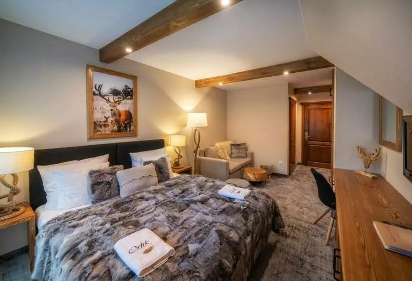 Standard-huone, Pensjonat Orlik Mountain Resort&spa