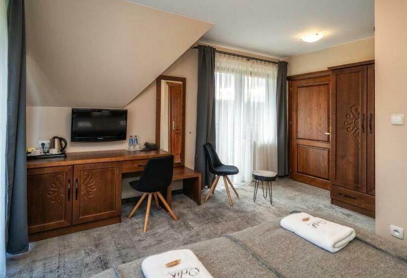 غرفة قياسية, Pensjonat Orlik Mountain Resort&spa