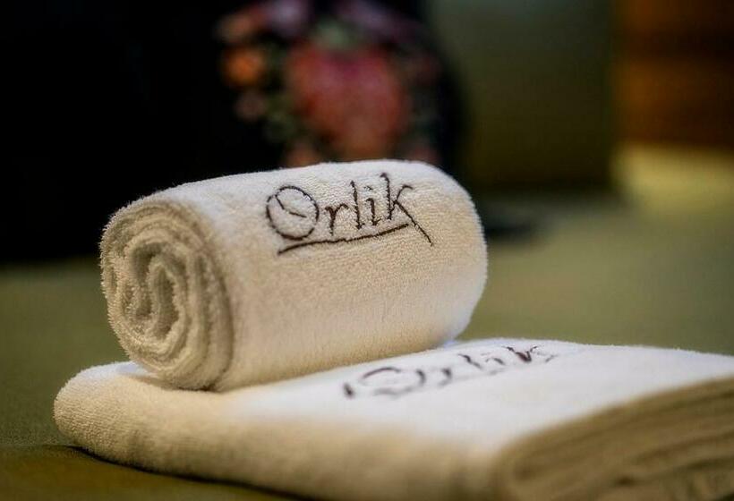 غرفة قياسية, Pensjonat Orlik Mountain Resort&spa