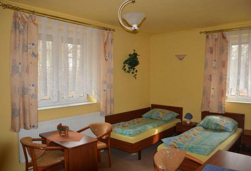 اتاق استاندارد سه نفره, Pod Dębami