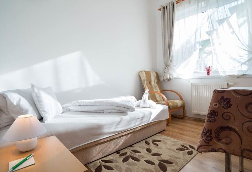 스탠다드 싱글 룸, Toldi Panzió Hévíz