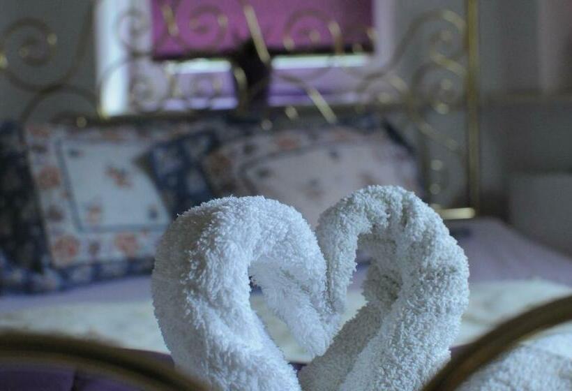 اتاق استاندارد یک نفره, Villa Hubertus Kutno