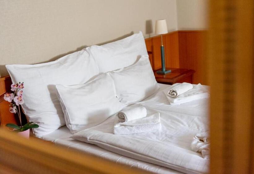 חדר סטנדרט, Nyerges Hotel Termál Superior