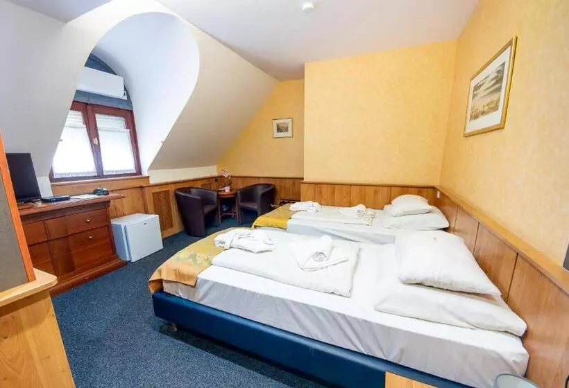 スタンダードルーム, Nyerges Hotel Termál Superior