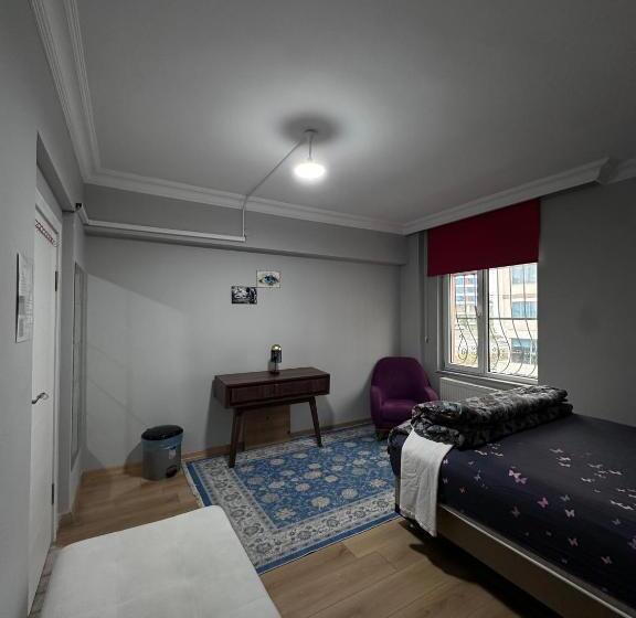 חדר אקונומי, Transit