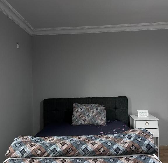 חדר אקונומי, Transit