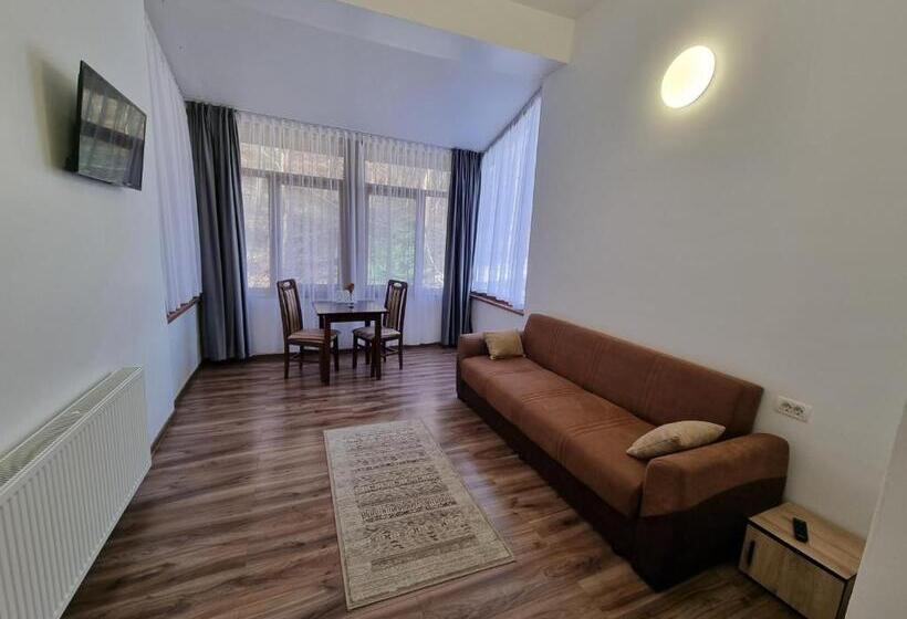 דירת חדר, Perla Oltului