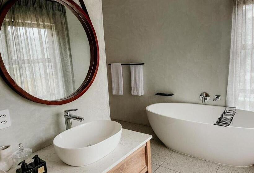 سوئیت کلاسیک, Fancy Fritz B&b