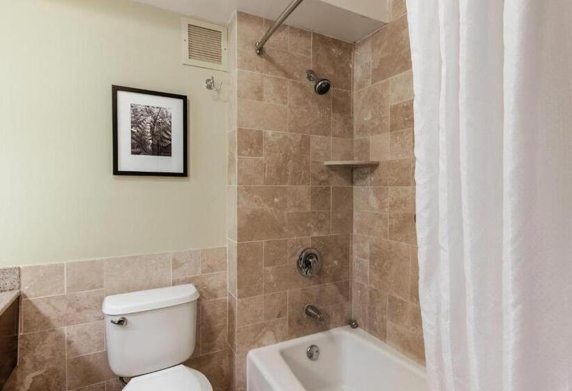 إستديو قياسى مزود بشرفة, Kauai Beach Resort Room 2343