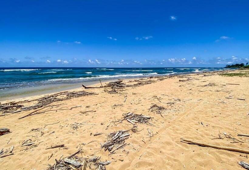 إستديو قياسى مزود بشرفة, Kauai Beach Resort Room 2343