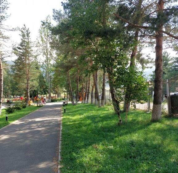 آپارتمان 1 خوابه با چشمانداز, Bakuriani Inn Apartment #13