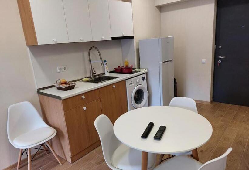 آپارتمان 1 خوابه با چشمانداز, Bakuriani Inn Apartment #13
