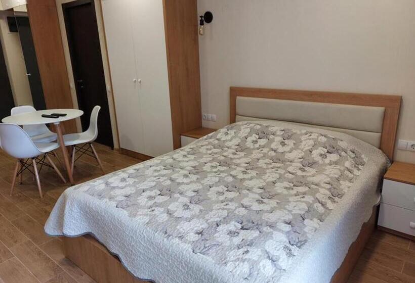آپارتمان 1 خوابه با چشمانداز, Bakuriani Inn Apartment #13