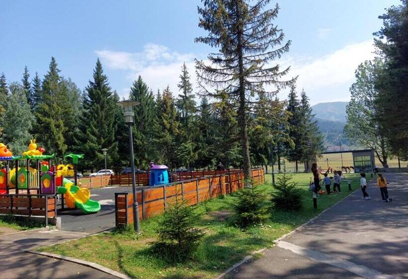 آپارتمان 1 خوابه با چشمانداز, Bakuriani Inn Apartment #13