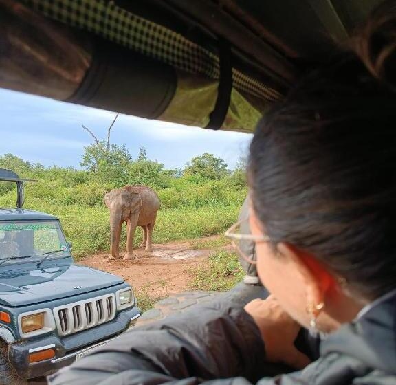 غرفة ديلوكس, Pam Land Eco Safari Resort