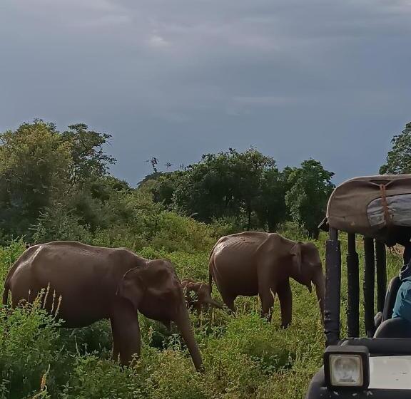 غرفة ديلوكس عائلية, Pam Land Eco Safari Resort