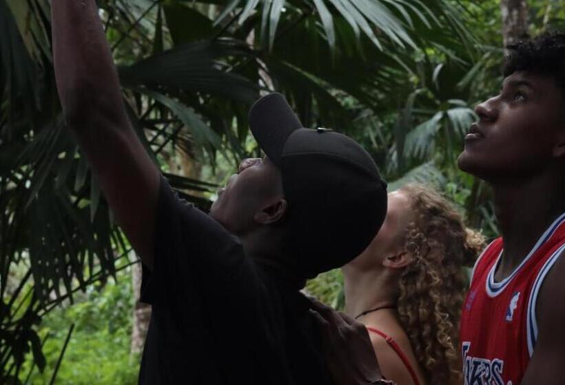 Номер Стандарт Вид на Горы, Cabaña Tellin