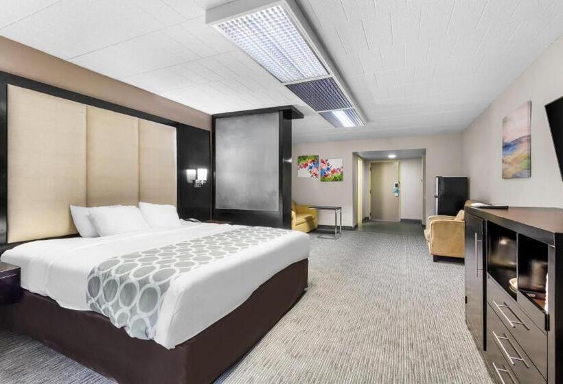 מיטת קינג בסוויטה, Suburban Studios