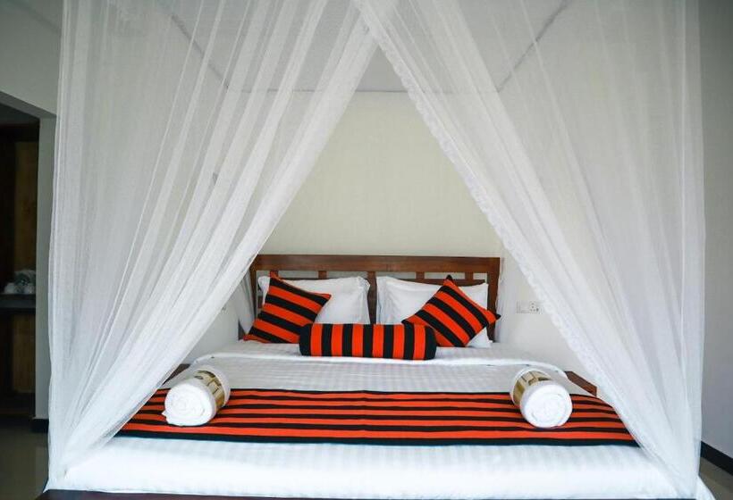 디럭스 룸, Duo Harmony