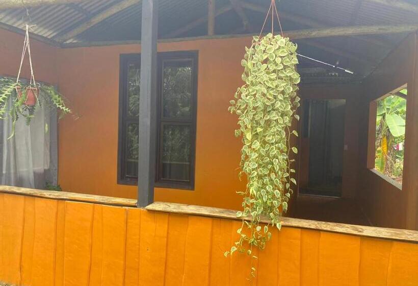 Бунгало Стандарт Вид на Сад, Cabinas Corcovado Green Parrot, Los Planes Drake