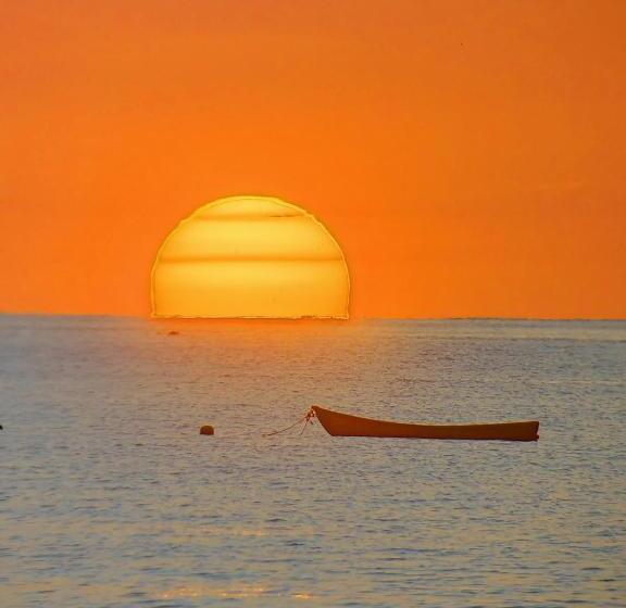 스탠다드 방갈로 정원 전망, Cabinas Corcovado Green Parrot, Los Planes Drake