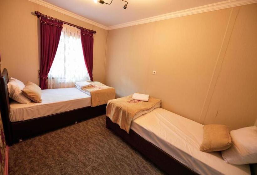 דירת חדר בקומת קרקע, Monoi̇r Sui̇te Apart In Uzungöl