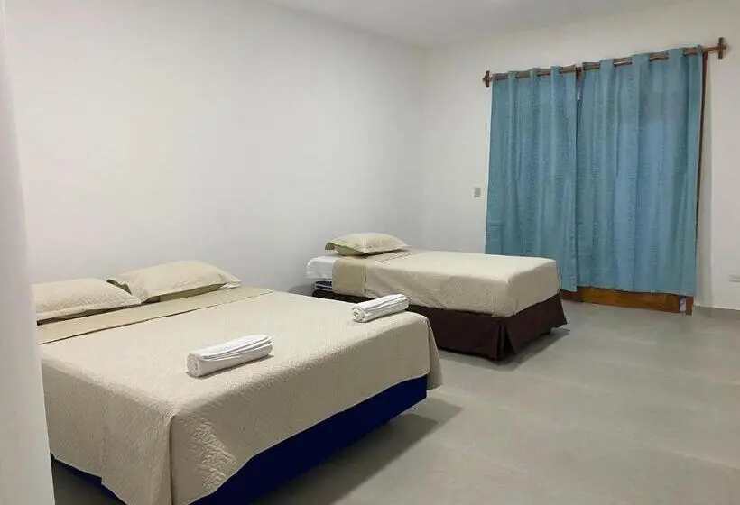 اتاق استاندارد یک نفره, Penguin House
