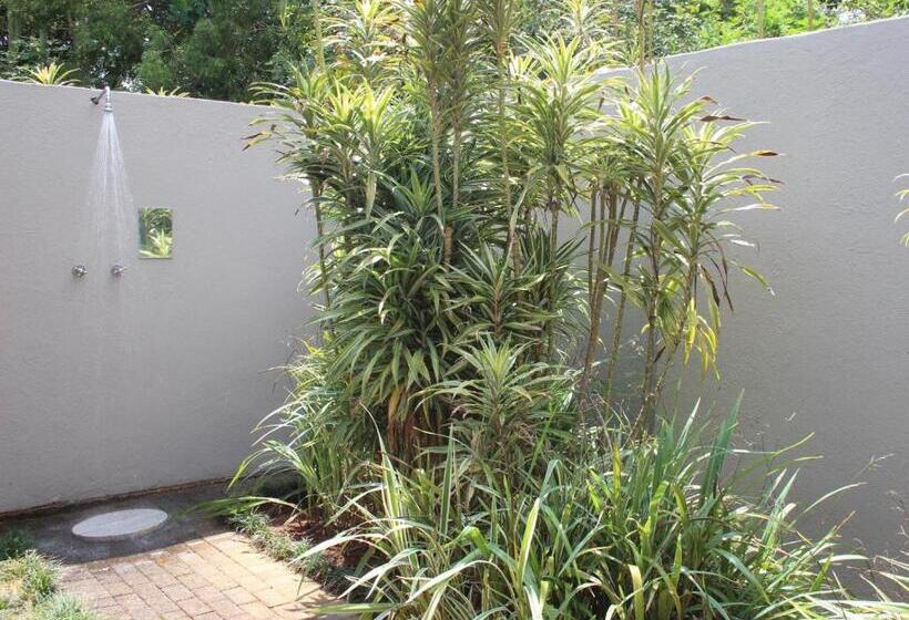 غرفة كلاسيكية, Ambience Inn